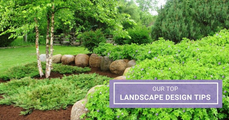 Top Landscape Design Tips